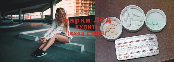 гидра Надым