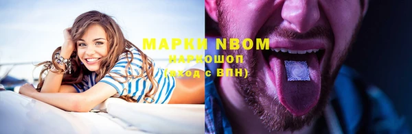 шишки Алзамай