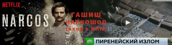 шишки Алзамай