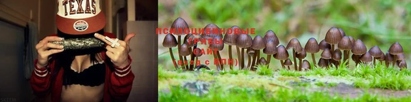 прущие крисы Алексеевка