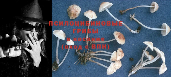 прущие крисы Алексеевка