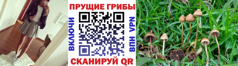 Галлюциногенные грибы мухоморы  Чаплыгин 